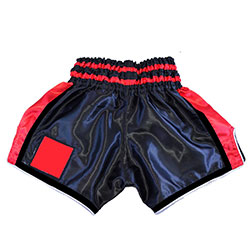 Mui Thai Shorts